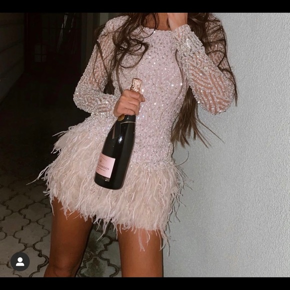 Pink Swan Dress - Picture 8 of 8